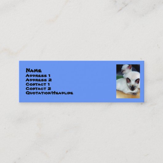 Siamese Kittens-profielkaart Mini Visitekaartje (Voorkant)