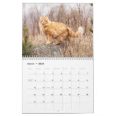 Siamese Kitty Cat Cute 2021 Calendar Kalender (Mar 2026)