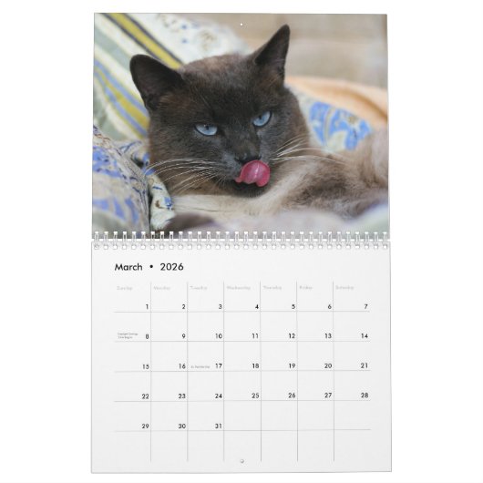 Siamese Kitty Cat Cute 2021 Calendar Kalender (Mar 2026)