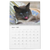 Siamese Kitty Cat Cute 2021 Calendar Kalender (Mar 2027)