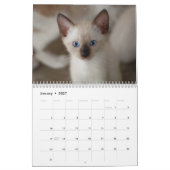 Siamese Kitty Cat Cute 2021 Calendar Kalender (Jan 2027)