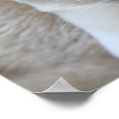 Siamese Kitty Cat  Poster (Hoek)