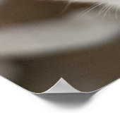 Siamese Kitty Cat  Poster (Hoek)