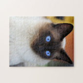 Siamese kitty kat met mooie grote blauwe ogen legpuzzel (Horizontaal)