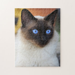 Siamese kitty kat met mooie grote blauwe ogen legpuzzel