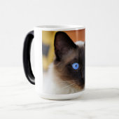 Siamese kitty kat met mooie grote blauwe ogen magische mok (Voorkant links)