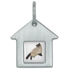 Siamese langharige kat huisdieren naamplaatje