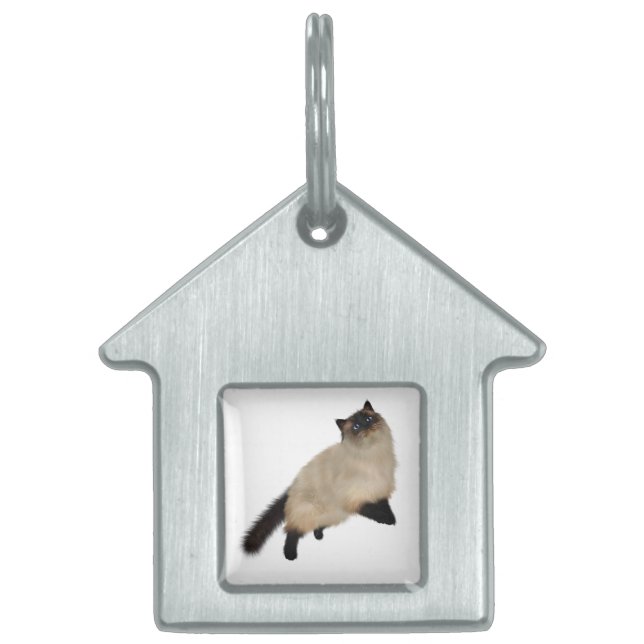 Siamese langharige kat huisdieren naamplaatje (Voorkant)