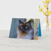 Siamese Poes Kat Cute Aanpasbare Kaart (Gele Bloem)