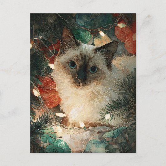 Siamese Point Kat Kerstmis Briefkaart (Voorkant)