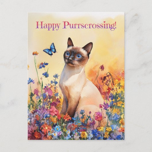 Siamese Postcrossing 2 - Briefkaart (Voorkant)