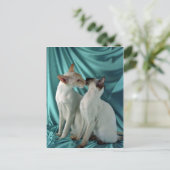 Siamese, rood punt en zegelpunt briefkaart (Staand voorkant)