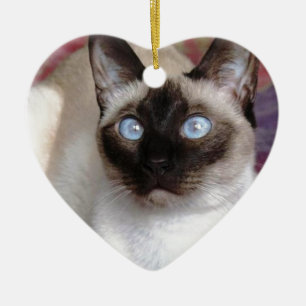SIAMESE SCHOONHEID KERAMISCH ORNAMENT
