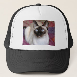 SIAMESE SCHOONHEID TRUCKER PET