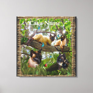 Siamese Sophie Canvas Afdruk