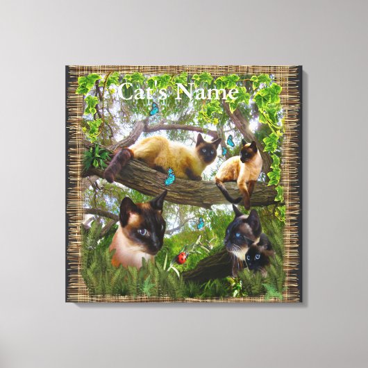 Siamese Sophie Canvas Afdruk (Voorkant)