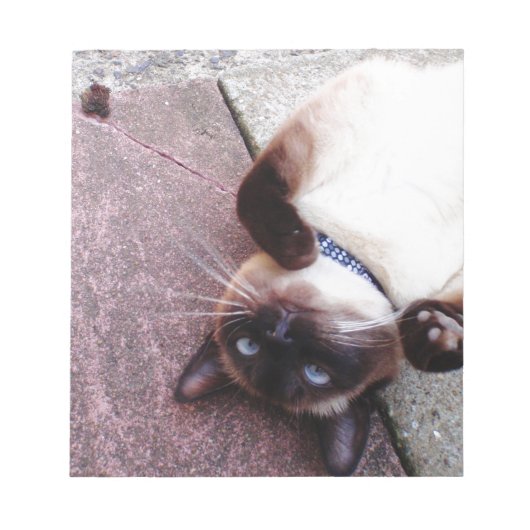 Siamese speelster notitieblok (Voorkant)