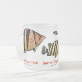 Siamese Tiger fish Matglas Koffiemok (Voorkant links)