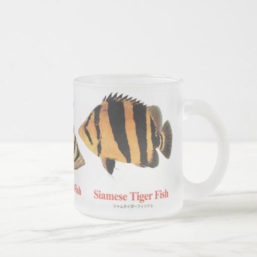 Siamese Tiger fish Matglas Koffiemok (Rechts)