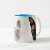 SIAMESE TWEEKLEURIGE KOFFIEMOK (Voorkant rechts)