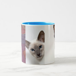 SIAMESE TWEEKLEURIGE KOFFIEMOK
