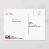 Siamese Twins Colorado Sunburst Briefkaart (Achterkant)