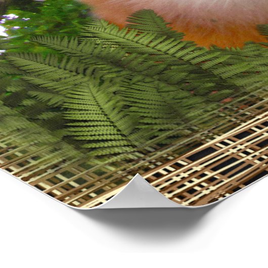 Siamese (uw katten naam) poster (Hoek)