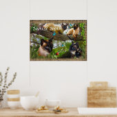 Siamese (uw katten naam) poster (Keuken)