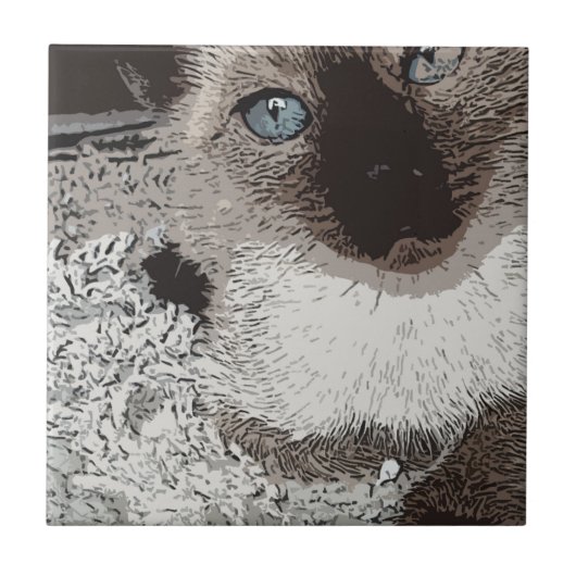 Siamese van de het huisdiervriend van het tegeltje (Voorkant)