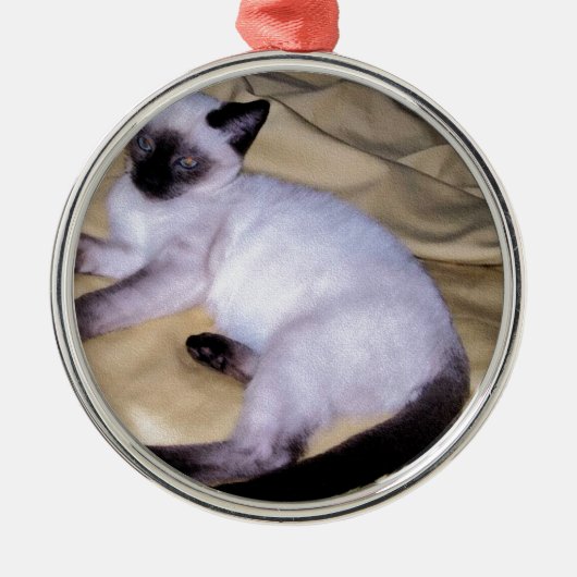Siamese van het de kunsthuisdier van het metalen ornament (Voorkant)