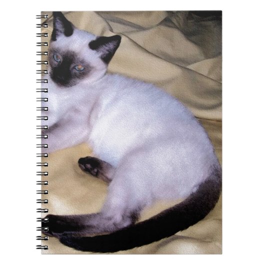 Siamese van het de kunsthuisdier van het notitieboek (Voorkant)
