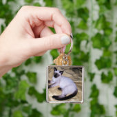Siamese van het de kunsthuisdier van het sleutelhanger (Hand)