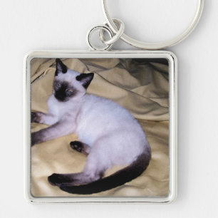 Siamese van het de kunsthuisdier van het sleutelhanger
