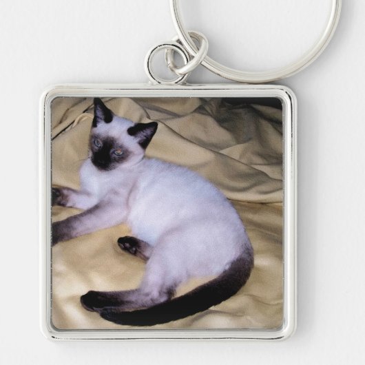 Siamese van het de kunsthuisdier van het sleutelhanger (Voorkant)