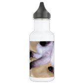 Siamese van het de kunsthuisdier van het waterfles (Links)