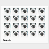 Siamese Vierkante Sticker (Vel)