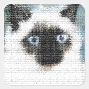 Siamese Vierkante Sticker