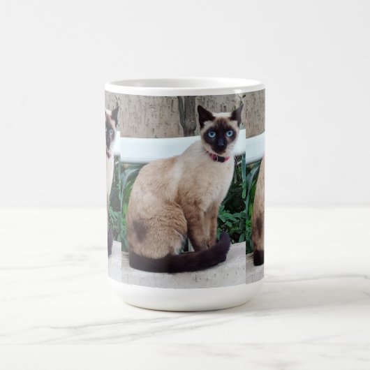 SIAMO CAT MOK CADEAU (Center)