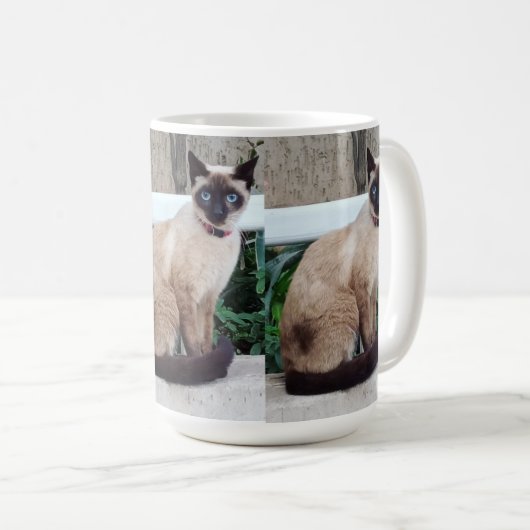 SIAMO CAT MOK CADEAU (Voorkant rechts)