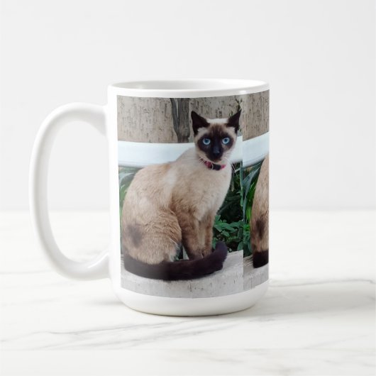 SIAMO CAT MOK CADEAU (Links)