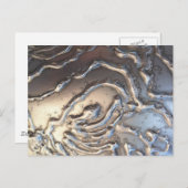 Sibelius Monument Detail Briefkaart (Voorkant / Achterkant)