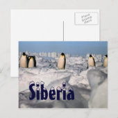 Siberia arctic winter briefkaart (Voorkant / Achterkant)
