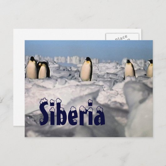 Siberia arctic winter briefkaart (Voorkant / Achterkant)