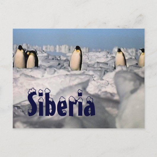 Siberia arctic winter briefkaart (Voorkant)