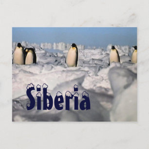 Siberia arctic winter postcard briefkaart