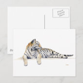Siberian/Bengal Tiger Briefkaart (Voorkant / Achterkant)
