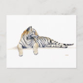 Siberian/Bengal Tiger Briefkaart (Voorkant)
