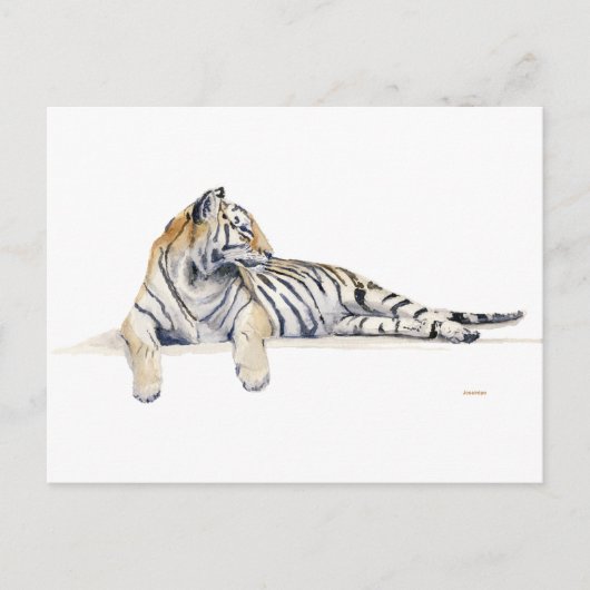 Siberian/Bengal Tiger Briefkaart (Voorkant)