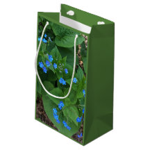 Siberian Bugloss - Blauw en groen -