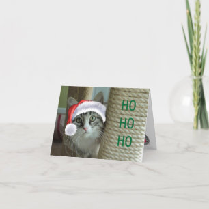 Siberian Cat Holiday Greetings Card Feestdagen Kaart